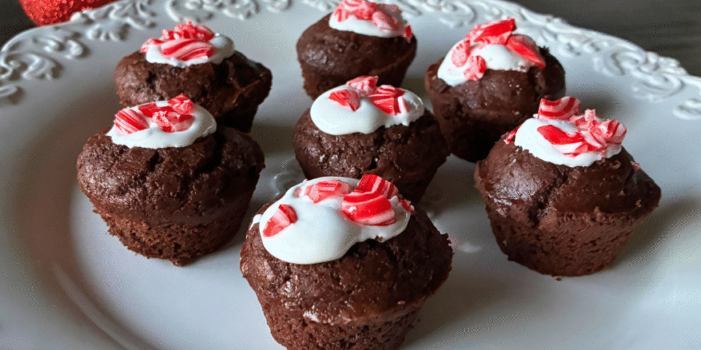 Hot Cocoa Biscuit Bites